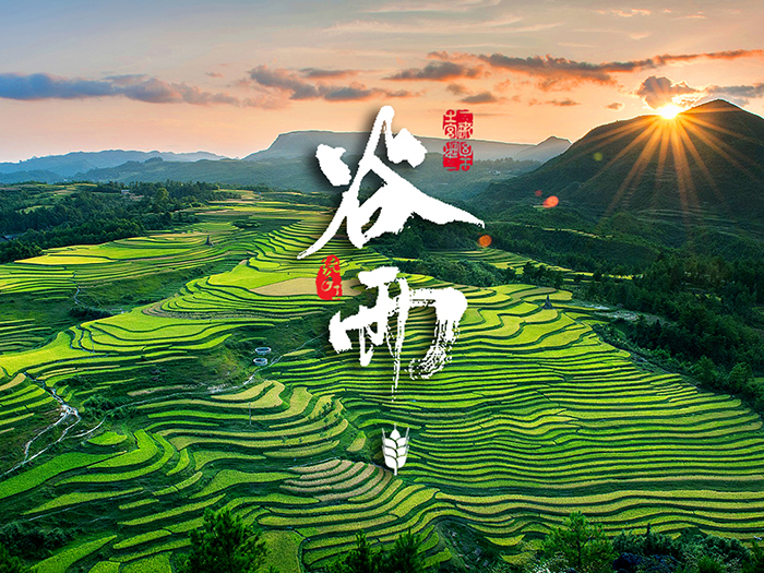 谷雨：春天的結(jié)束，生機(jī)的開(kāi)始
